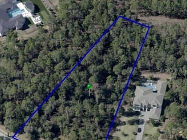 15942 PENDIO DRIVE , BELLA COLLINA, FL 34756