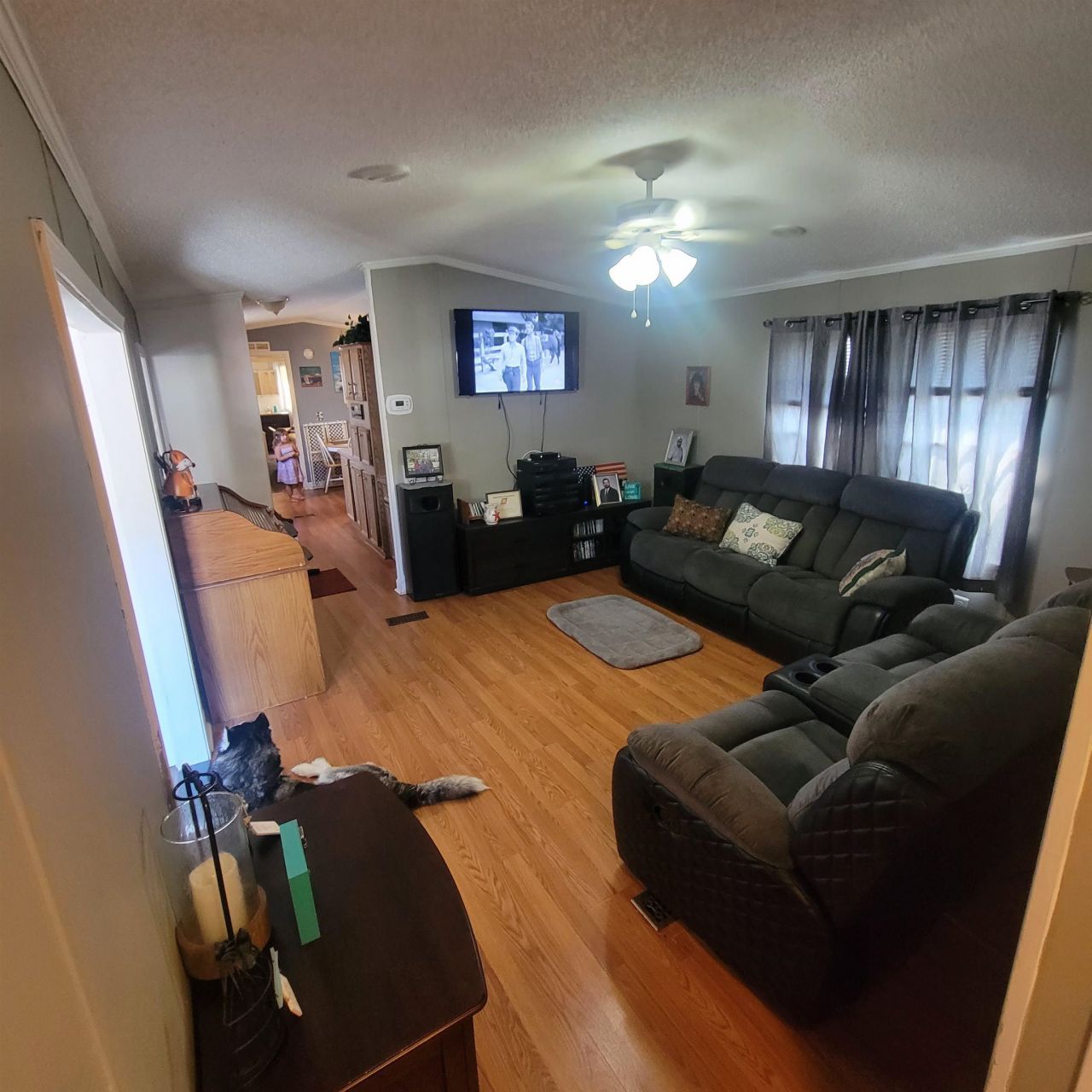 2728 Cirus Dr.  Photo 4