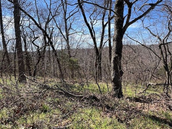 85 Mercury Lane, Holiday Island, AR 72631