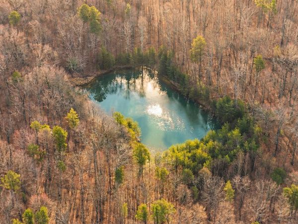 0 Bob Cat Trail, Dunlap, TN 37327