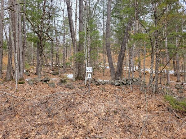 Lot #1 W West Fryeburg Road , Fryeburg, ME 04037