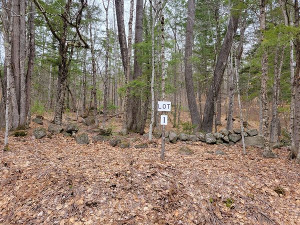 Lot #1 W West Fryeburg Road, Fryeburg, ME 04037