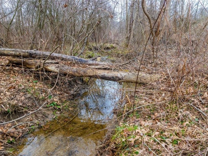 Pigeon Run Avenue SW, Navarre, OH 44662 Photo 10