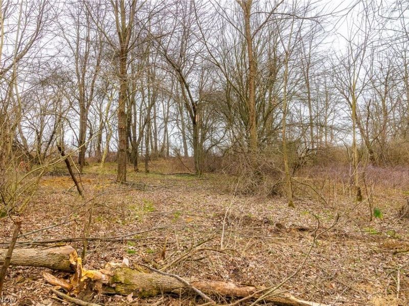 Pigeon Run Avenue SW, Navarre, OH 44662 Photo 11