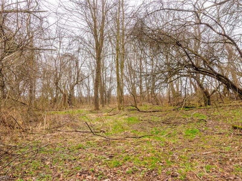 Pigeon Run Avenue SW, Navarre, OH 44662 Photo 12