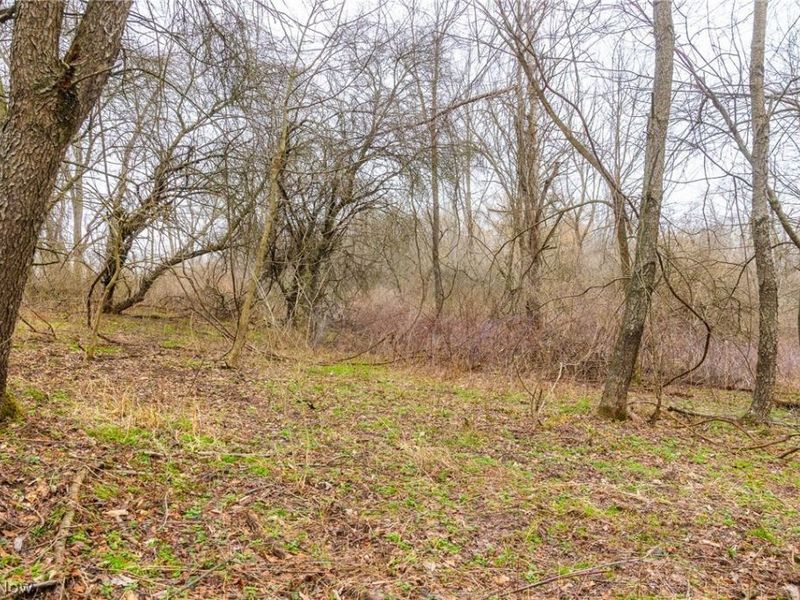 Pigeon Run Avenue SW, Navarre, OH 44662 Photo 13