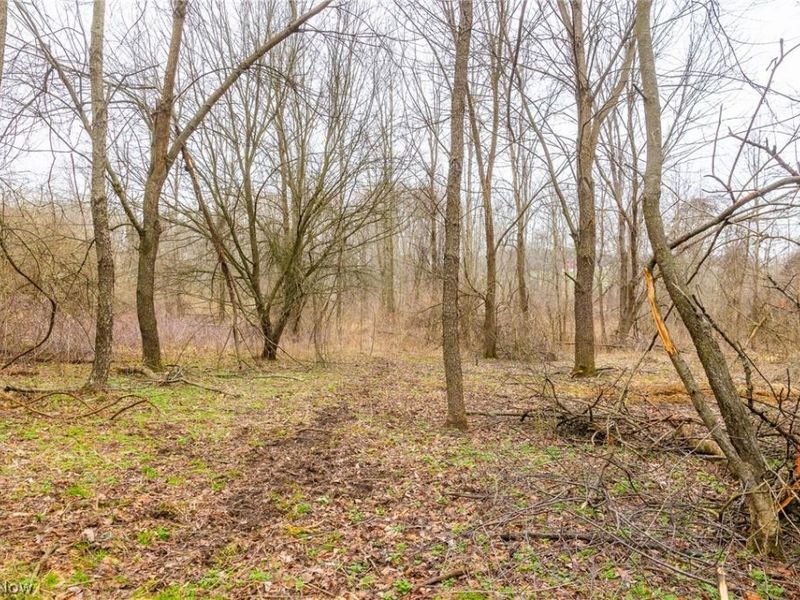 Pigeon Run Avenue SW, Navarre, OH 44662 Photo 14