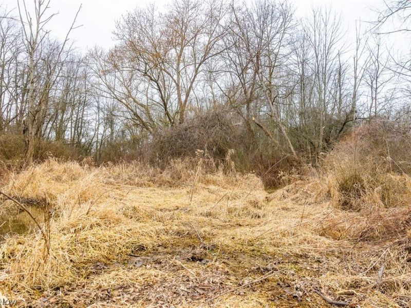 Pigeon Run Avenue SW, Navarre, OH 44662 Photo 15