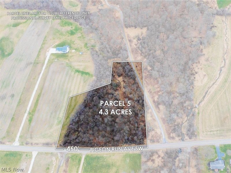 Pigeon Run Avenue SW, Navarre, OH 44662 Photo 2