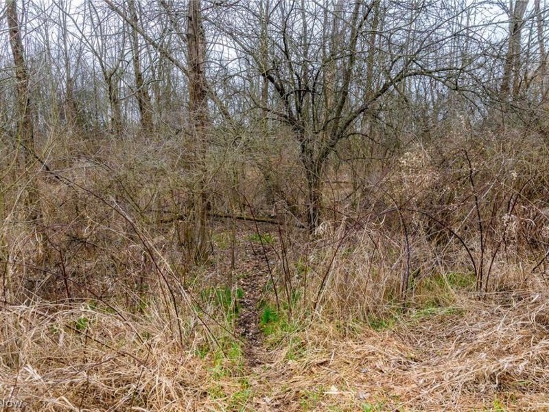 Pigeon Run Avenue SW, Navarre, OH 44662 Photo 4