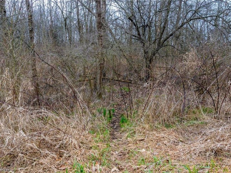 Pigeon Run Avenue SW, Navarre, OH 44662 Photo 5