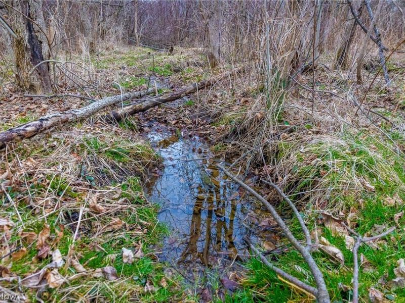 Pigeon Run Avenue SW, Navarre, OH 44662 Photo 6