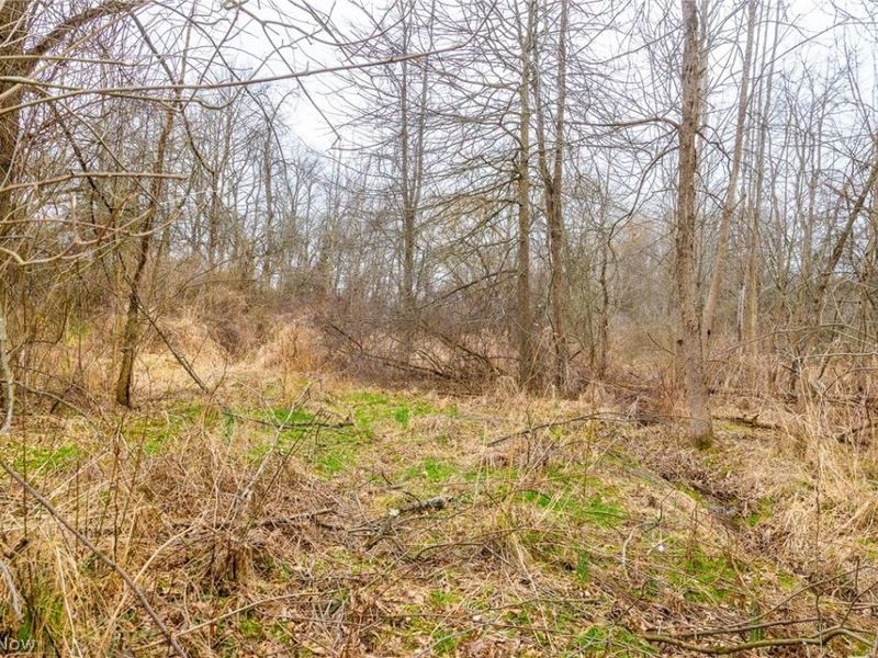 Pigeon Run Avenue SW, Navarre, OH 44662 Photo 7