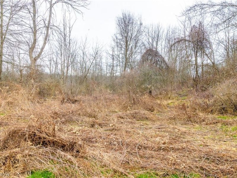 Pigeon Run Avenue SW, Navarre, OH 44662 Photo 8