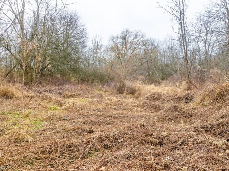 Pigeon Run Avenue SW, Navarre, OH 44662 Photo 9