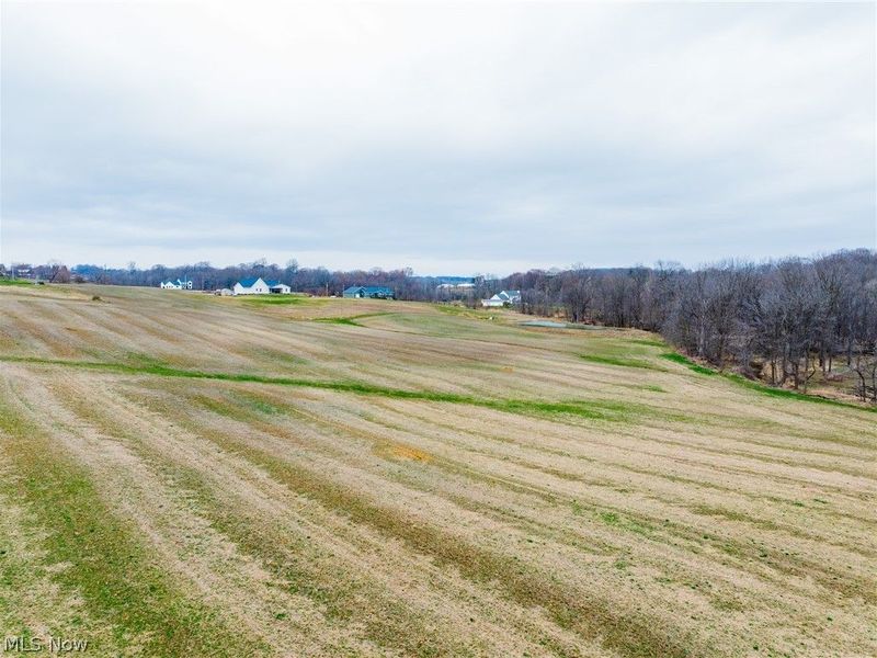 Pigeon Run Avenue SW, Navarre, OH 44662 Photo 5