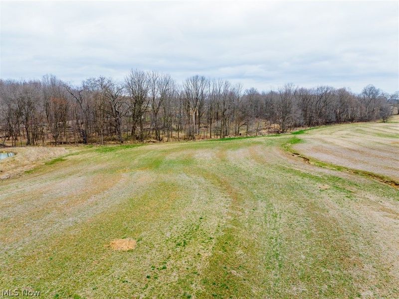 Pigeon Run Avenue SW, Navarre, OH 44662 Photo 8