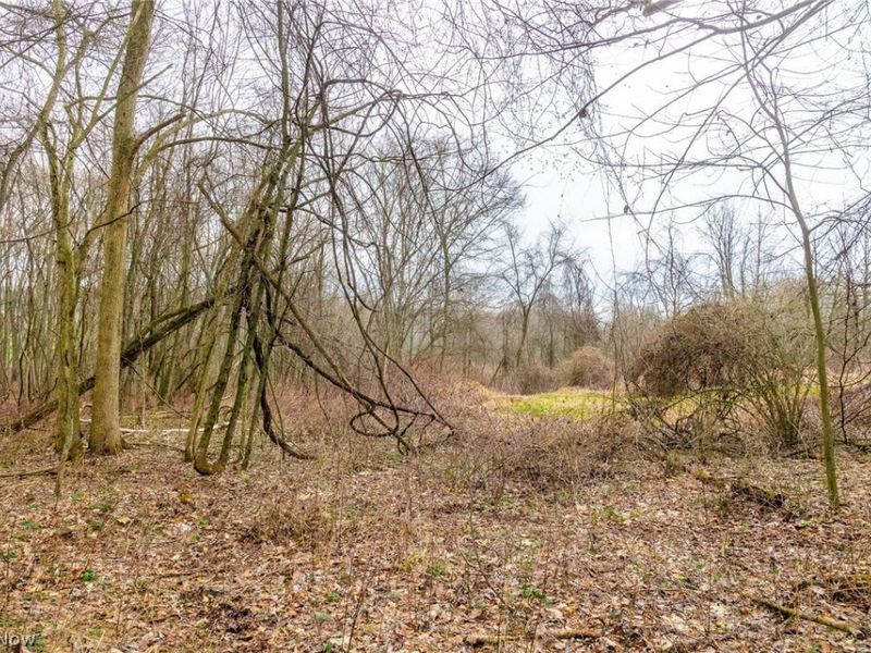 Pigeon Run Avenue SW, Navarre, OH 44662 Photo 10