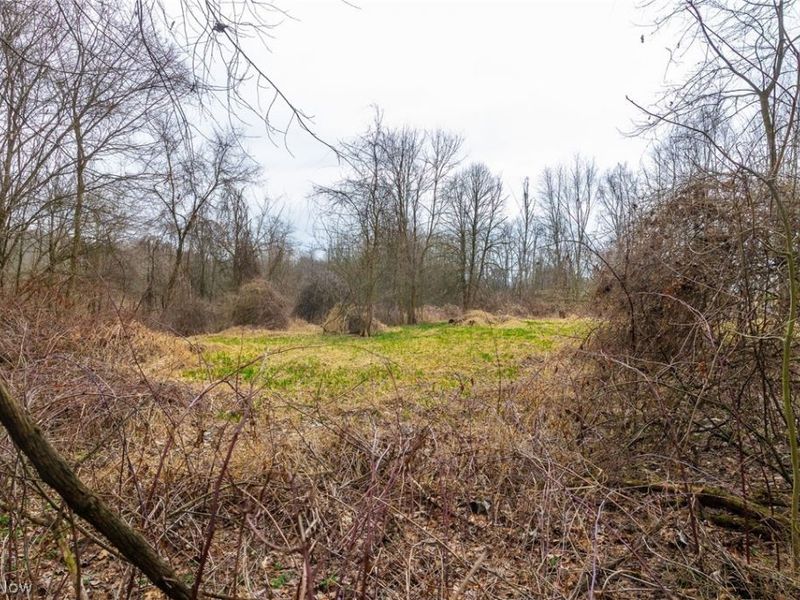 Pigeon Run Avenue SW, Navarre, OH 44662 Photo 11