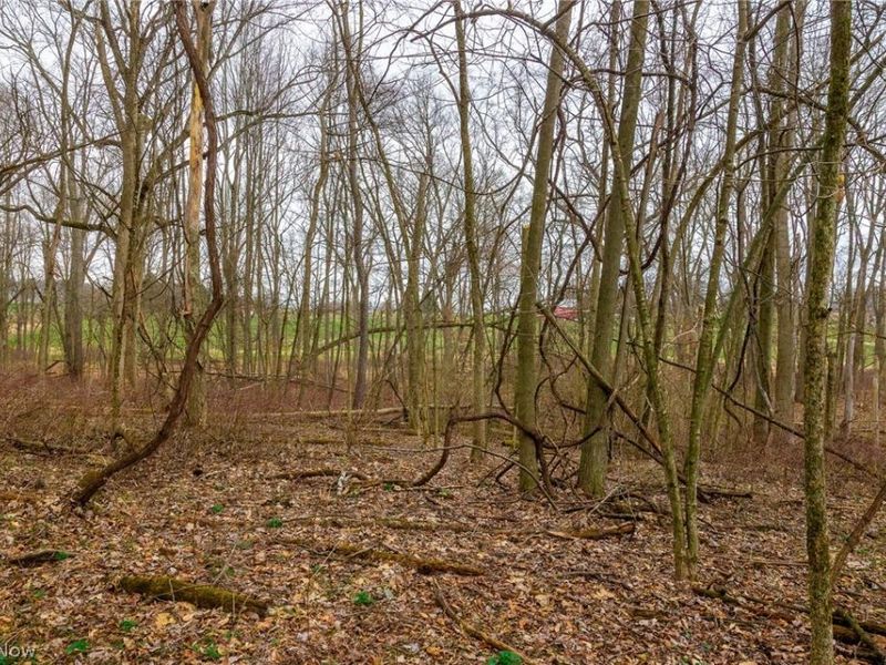 Pigeon Run Avenue SW, Navarre, OH 44662 Photo 12