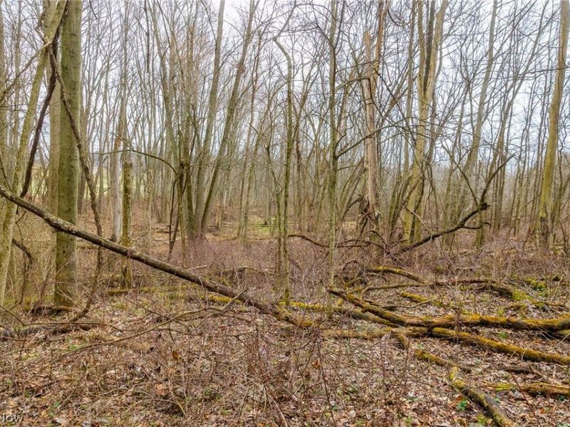 Pigeon Run Avenue SW, Navarre, OH 44662 Photo 13