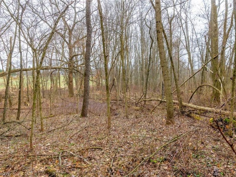 Pigeon Run Avenue SW, Navarre, OH 44662 Photo 14