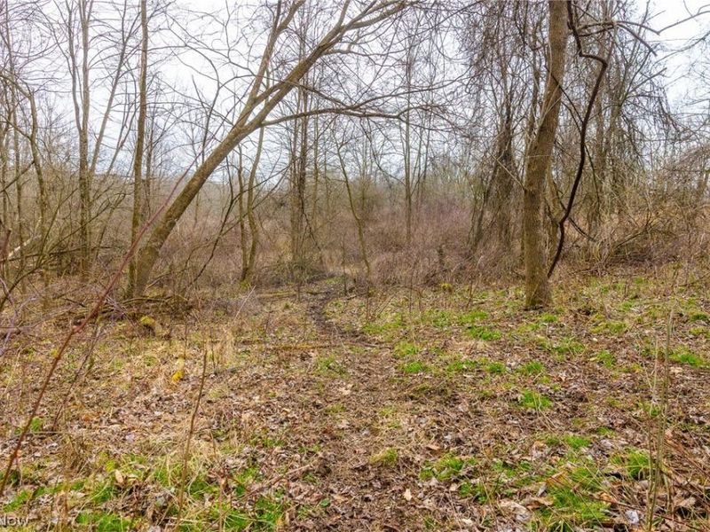 Pigeon Run Avenue SW, Navarre, OH 44662 Photo 15