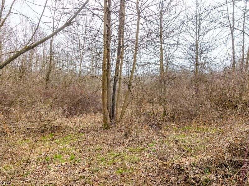 Pigeon Run Avenue SW, Navarre, OH 44662 Photo 16