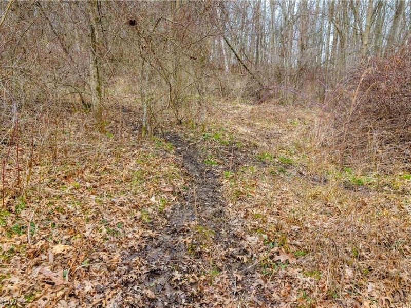 Pigeon Run Avenue SW, Navarre, OH 44662 Photo 17