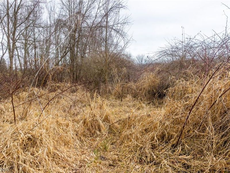 Pigeon Run Avenue SW, Navarre, OH 44662 Photo 18