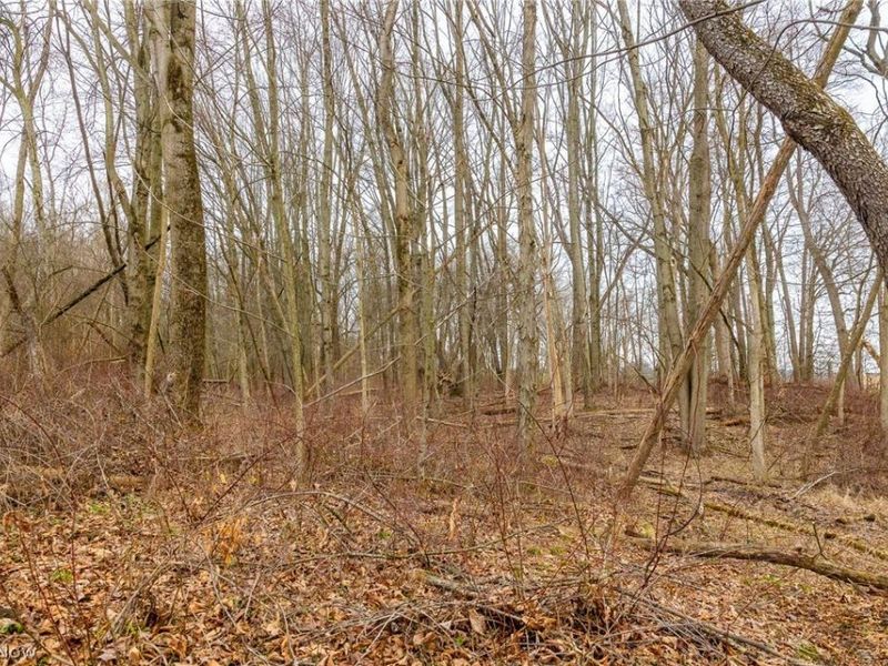 Pigeon Run Avenue SW, Navarre, OH 44662 Photo 19