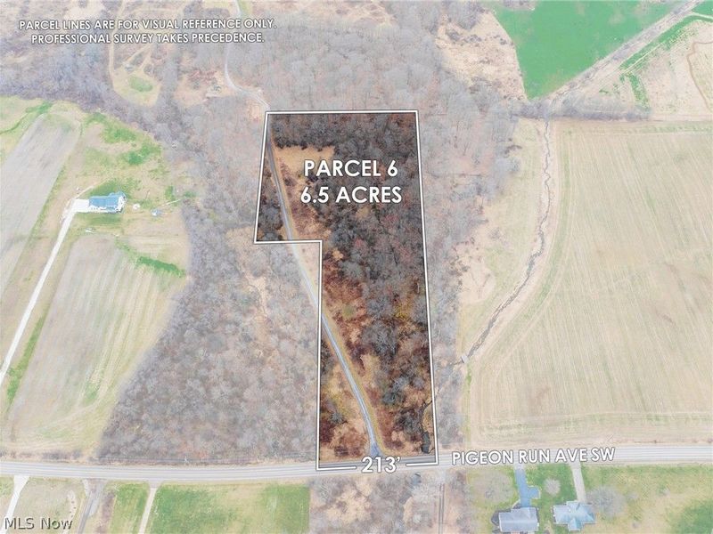 Pigeon Run Avenue SW, Navarre, OH 44662 Photo 2