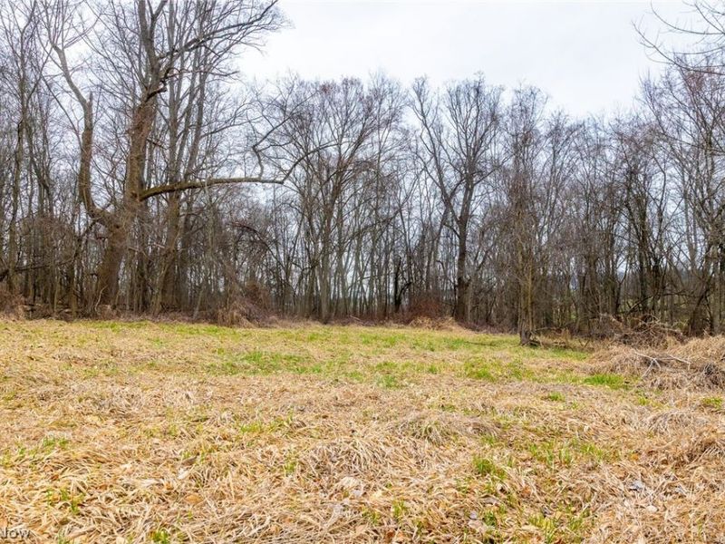 Pigeon Run Avenue SW, Navarre, OH 44662 Photo 20