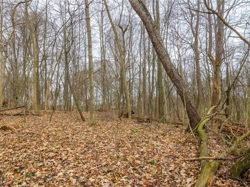 Pigeon Run Avenue SW, Navarre, OH 44662 Photo 6