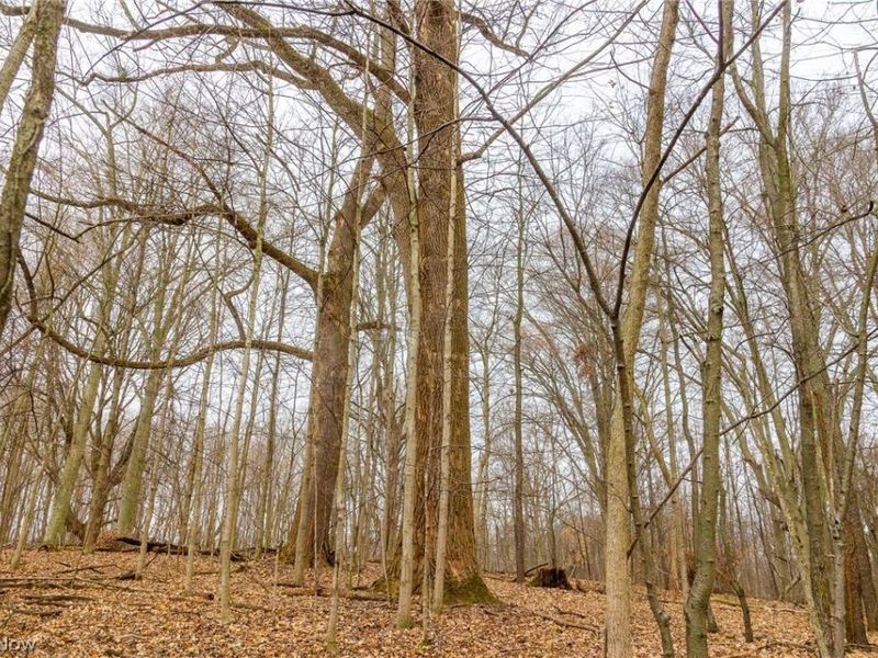 Pigeon Run Avenue SW, Navarre, OH 44662 Photo 7