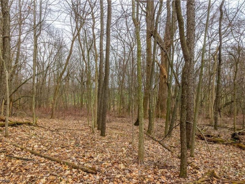 Pigeon Run Avenue SW, Navarre, OH 44662 Photo 8