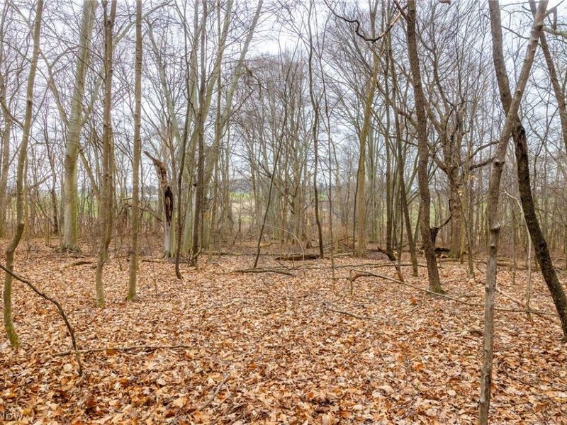 Pigeon Run Avenue SW, Navarre, OH 44662 Photo 10