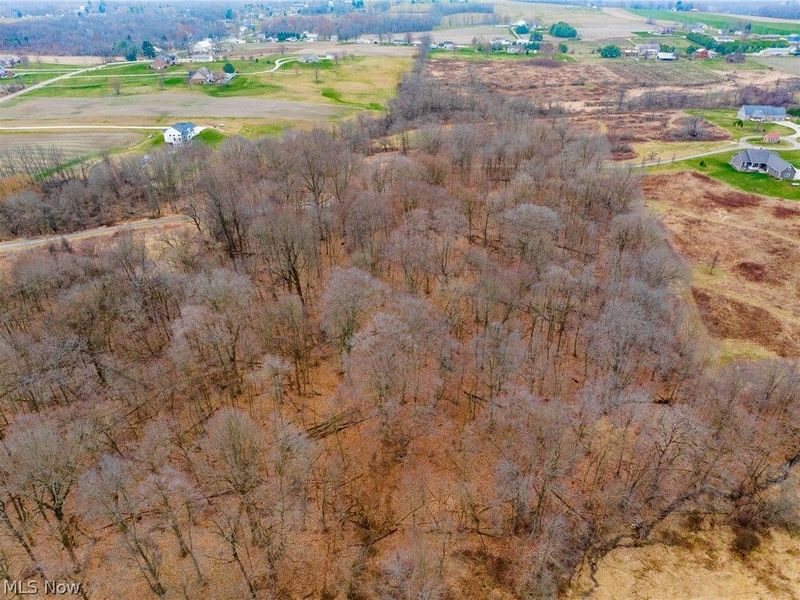 Pigeon Run Avenue SW, Navarre, OH 44662 Photo 14