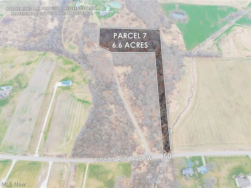 Pigeon Run Avenue SW, Navarre, OH 44662 Photo 2