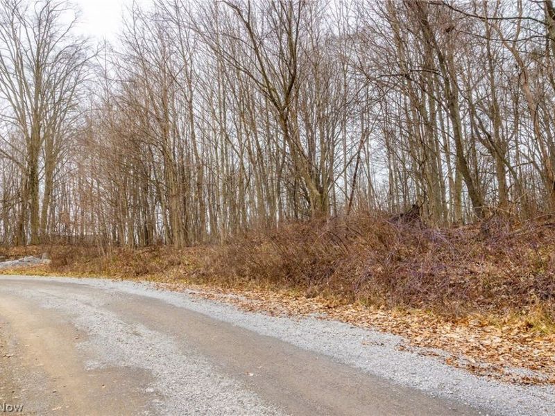 Pigeon Run Avenue SW, Navarre, OH 44662 Photo 3