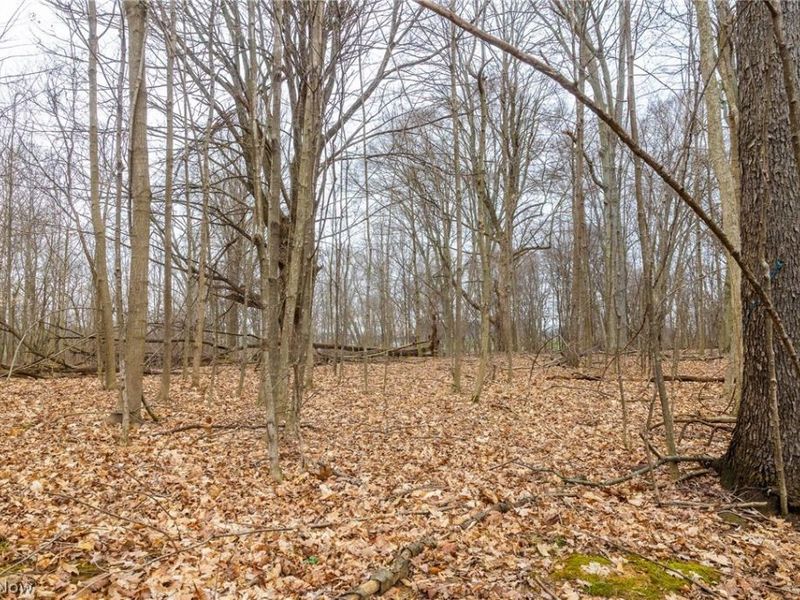 Pigeon Run Avenue SW, Navarre, OH 44662 Photo 4