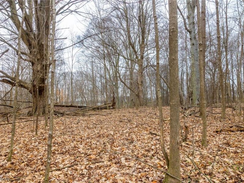 Pigeon Run Avenue SW, Navarre, OH 44662 Photo 5