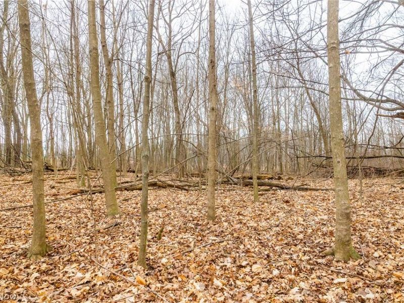 Pigeon Run Avenue SW, Navarre, OH 44662 Photo 6