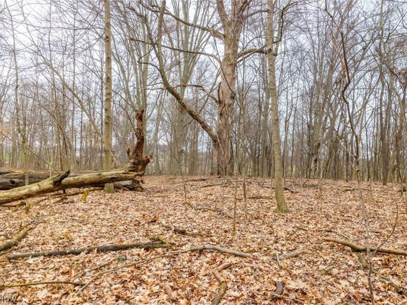 Pigeon Run Avenue SW, Navarre, OH 44662 Photo 7