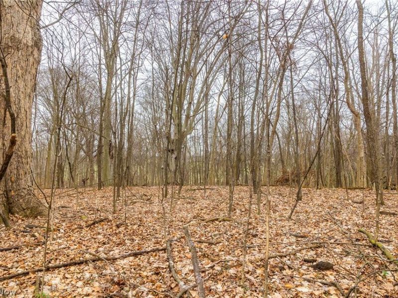 Pigeon Run Avenue SW, Navarre, OH 44662 Photo 8