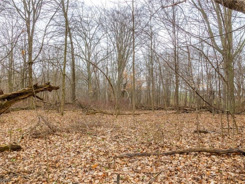 Pigeon Run Avenue SW, Navarre, OH 44662 Photo 9