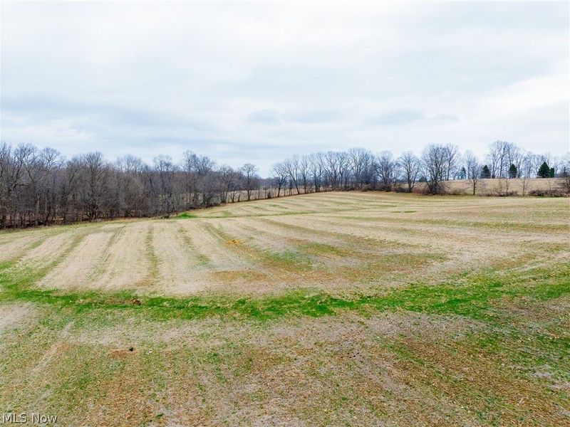 Pigeon Run Avenue SW, Navarre, OH 44662 Photo 7