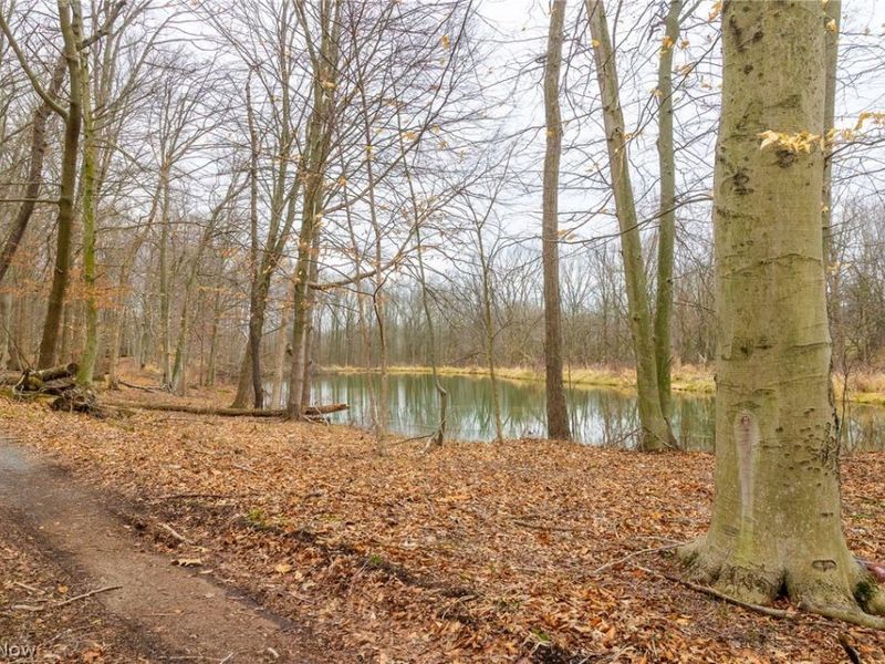 Pigeon Run Avenue SW, Navarre, OH 44662 Photo 10