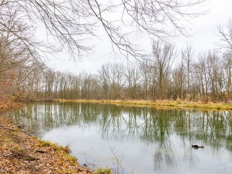 Pigeon Run Avenue SW, Navarre, OH 44662 Photo 11