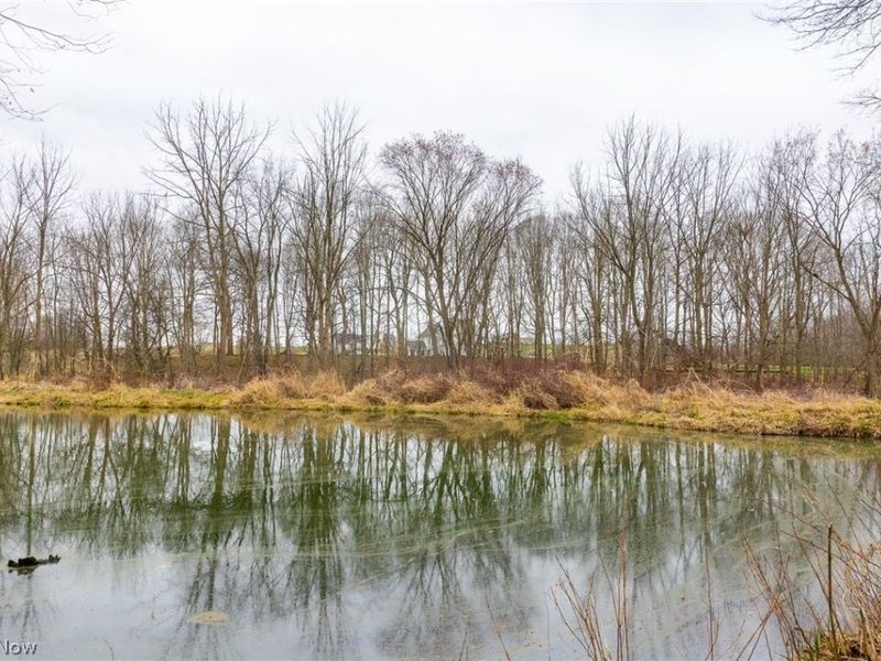 Pigeon Run Avenue SW, Navarre, OH 44662 Photo 12